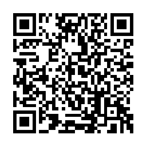 今天她还有一个只有她自己才知道的目的要完成二维码生成