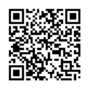 今天我不但要违抗你那个所谓的命令二维码生成