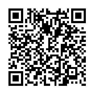 今天是第二季度经济运行情况通报分析会的日子二维码生成