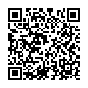 今天这们的日子对霜霜而言和成亲真的也没有区别二维码生成