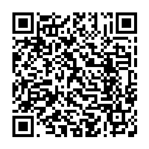 今日我再去挑战一番 我就不信我不能站在那瀑布之下 好歹我也是……二维码生成