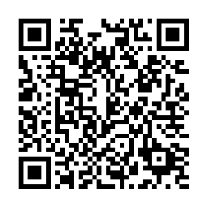 今道王突然感觉到了凌蘭的攻击速度与力量再次提升二维码生成