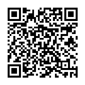 介绍一些合作伙伴和关系不错的社会名流给苏小爱认识二维码生成