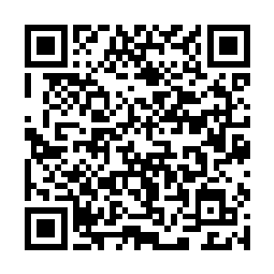从一家录像租赁店店员成长为全球闻名的顶尖大导演二维码生成