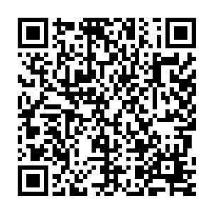 从一开始的混乱到现在已经知道组成几层盾墙阻挡自己的几次突围二维码生成
