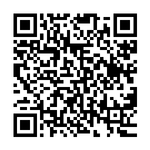 从上到下先是用一根加长杆的鸡毛掸子将高处的灰尘清理下来二维码生成