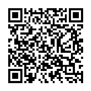 从今往后你在人前只使用金木水火土光这六种属性二维码生成