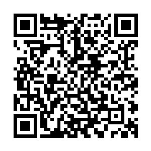 从他们决定向楚暮出剑的那一瞬间起就已经注定了他们的下场二维码生成