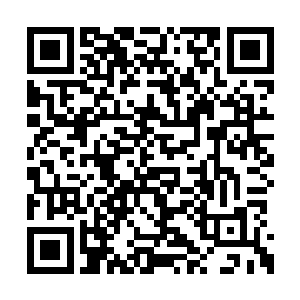从前的林烽也是看到数字和应用题就头疼得发麻二维码生成