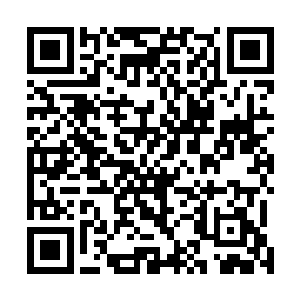 从北方增援而来的秘社援军未经战斗即占领了东区的大部二维码生成