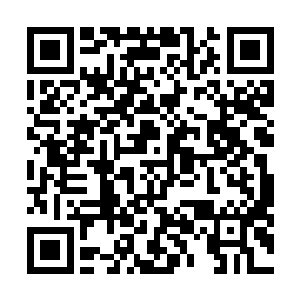 从古至今有很多沧澜宗的修士曾经脱离宗门出来开宗立派二维码生成
