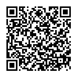 从外面打探到消息回来的木匠和石匠可谓激动不已地你一句我一句二维码生成