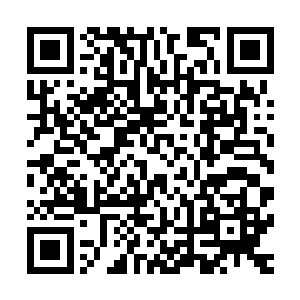 从娘娘山下赁回的十几亩地每天就要花大半天的时间耕种打理二维码生成