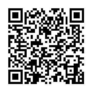 从小也算是书香门第出生的陆琴怎可能承受这样的屈辱二维码生成