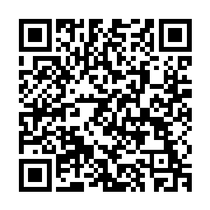 从开始的强硬口气终于是因为天道的愤怒咆哮而变得柔软了下来二维码生成