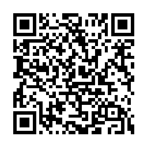 从张潇晗乘坐着宝船消失在仙农洞府这个方向后二维码生成
