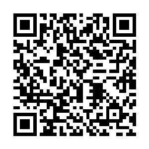 从怀里掏出一个小小的红色葫芦和一个镶满金玉宝珠的酒壶二维码生成