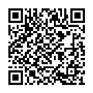 从怀里掏出一份羊皮纸在这两个卫兵面前晃了晃二维码生成