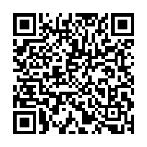 从我开始接受自己所经历的这一切开始我就已经知道前路坎坷二维码生成