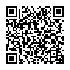 从托尔斯走过来表现出来的热情到后面镇海的挑衅二维码生成