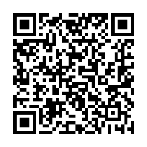 从星座解读尼古拉斯凯奇与迈克尔杰克逊的前世今生二维码生成