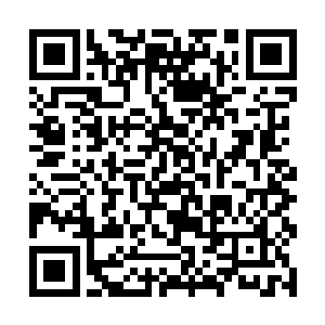 从来都没有把巴克身边这个唯唯诺诺的女人看在眼里二维码生成