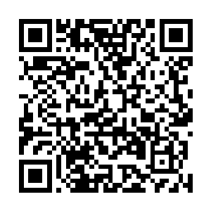 从此九原每年七月七日就为未婚男女相互表白心意的日子二维码生成
