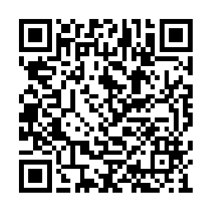 从此以后让他们过上衣食无忧又自由的生活罢了二维码生成