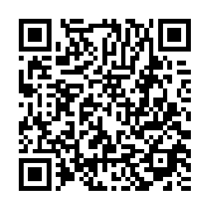从灵气瀑布掉落出去的秦宇在他们眼中已经是不值得他们关注了二维码生成