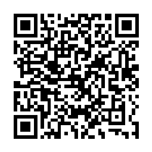 从百圣城内传出的消息便传到了灵仙界遗址的暗星城中二维码生成