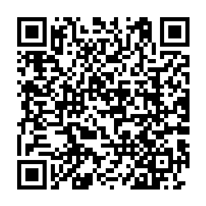 从而也为楚旬转化出了一支规模在五十万以上的金属性异形妖兽军团二维码生成