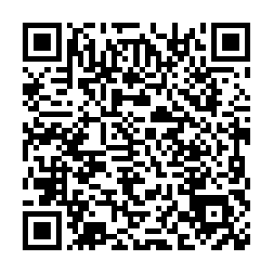 从而也就导致了他们对于流墨墨他们收宠物的举动不是那么抗拒了二维码生成