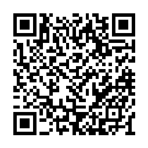 从苍狼中走出来的徐大将军又怎么会是一个善茬二维码生成