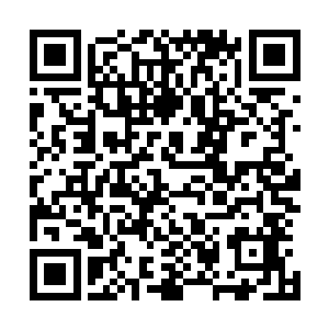 从萨尔维暗绿色的双眼里投射出的是无穷无尽的真诚与恳切二维码生成