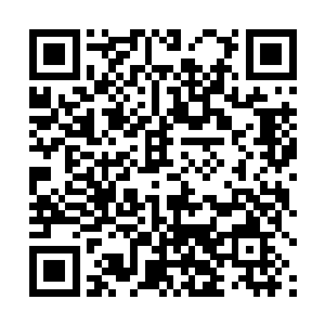 从被子里伸出一只脚狠狠地踹在那个拿被子过来的混蛋二维码生成