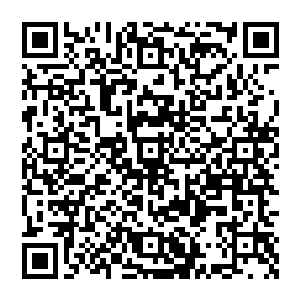 从装模作样的呼救声变成了真正的嚎叫……那故意袒露出健壮胸肌的身体被变异兽一口撕咬下一块肉来二维码生成