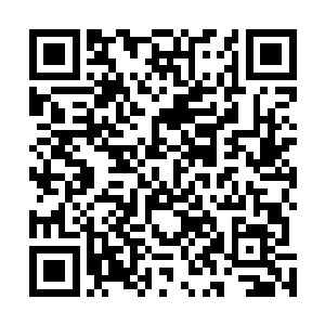 从那小指的断面儿上能看得出这手指切断至少也有两天了二维码生成