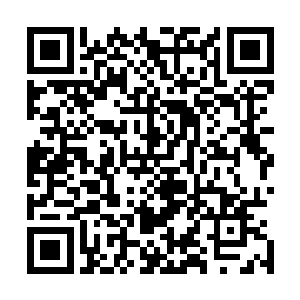 从阴珠里瞬移出冯二蛋去把我布置下的连环封杀阵阵脚补齐二维码生成