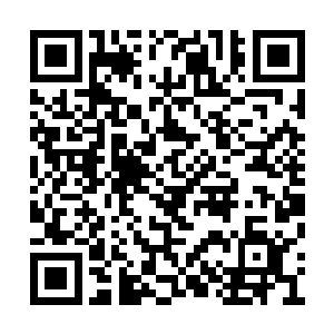从龙羽那家伙脸庞的嘚瑟激动模样可以感受得到二维码生成
