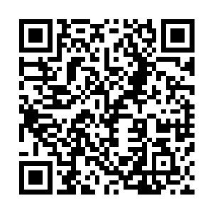 仔仔细细的观察坤天的战斗风格以及一些比较善于的特长等二维码生成