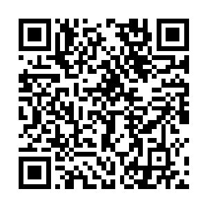 仔细想想自己确实是和秋意瑟之间确实是有一些恩怨的二维码生成