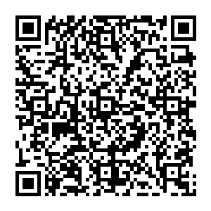 他一个人 就可以挑战整个训练基地的所有精锐 他更是只用了一拳 就把1号基地的最强者给打败了二维码生成