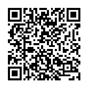 他一个月十几万甚至几十万的生活费已经是奢侈无比二维码生成