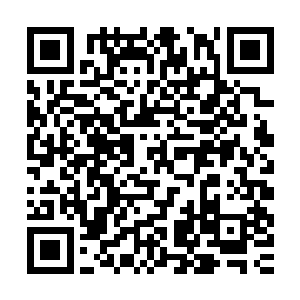 他一出来就看到了雨果和莱昂纳多两个人依旧是一板一眼地坐着二维码生成