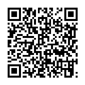 他一定会把这个东西直接关进笼子里扔给研究部门二维码生成