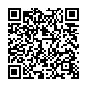 他一点都不担心这些黑色小人和这些飞火蚁的安全二维码生成
