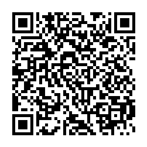 他一直以为至少在这一界无敌的佛族功法在木槿面前竟然毫无威力二维码生成