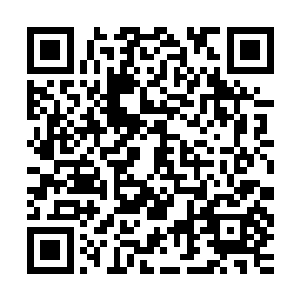 他一直关注的问题便是李凤儿会不会在那迷宫一样的皇宫中走丢二维码生成