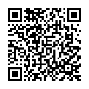 他万万没想到唐铮感受到心血中充斥的澎湃能量后多想了一步二维码生成