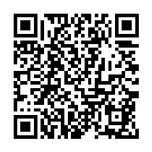 他不敢相信刚才自己听到的是从她嘴里说出来的二维码生成